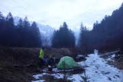 Camping in the woods and snow close to Stallehr