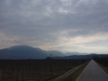 On the road from Meran