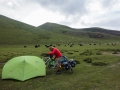 Camping in grasslands