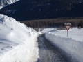 Signs up to their necks in snow